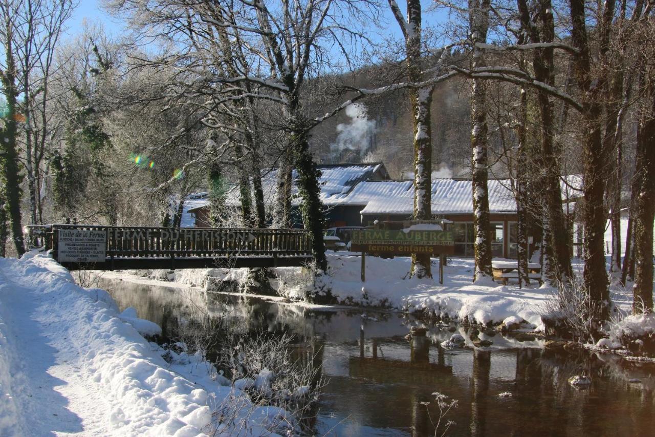 Villa Parc Animalier Du Herisson Doucier Exterior foto