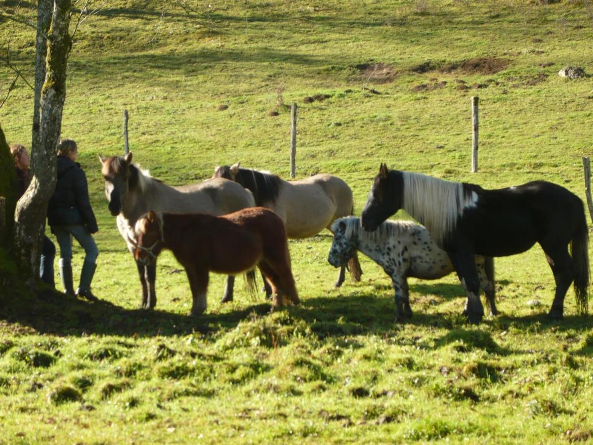 Villa Parc Animalier Du Herisson Doucier Exterior foto